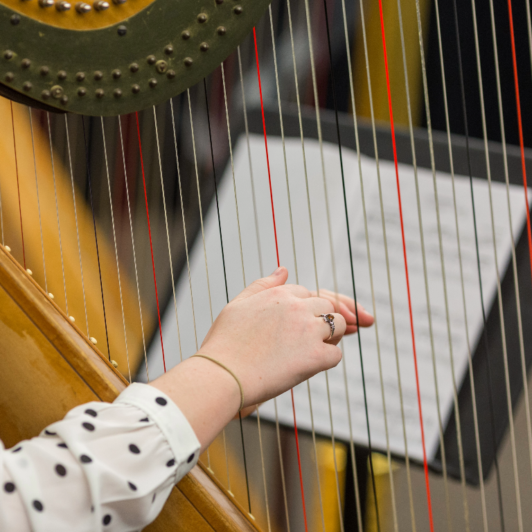 Close up photograph of harp strings in front of a music stand with sheet music.